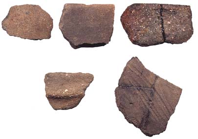 Tessons de céramique protohistorique
